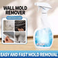 ⏳Oferta por Tiempo Limitado⏰Pulverizador Antimoho Altamente Eficaz - Previene el Rebrote del Moho
