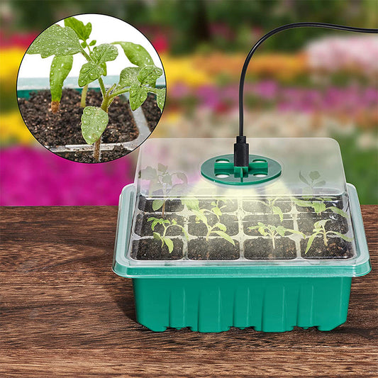 🥕40% Discount🍃Seed Starter Trays with Grow Light