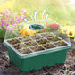 🥕40% Discount🍃Seed Starter Trays with Grow Light
