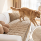 ⏳Time-Limited Special⏰Pet-Friendly Sofa Cushions Are Here! Non-slip, scratch-resistant, and ultra-soft—lay them down and relax! ✨
