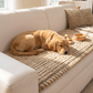 ⏳Time-Limited Special⏰Pet-Friendly Sofa Cushions Are Here! Non-slip, scratch-resistant, and ultra-soft—lay them down and relax! ✨