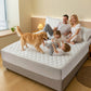 Waterproof Quilted Mattress Cover & Pillowcases Set