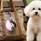 ⏳Time-Limited Special⏰2-in-1 Portable Dog Water Bottle for Small Dogs - Leak-Proof & Compact