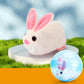 🥳2026 HOT SALE🥳💞50K+ SOLD! 💖🐱Interactive Plush Animal Rolling Ball