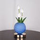 🌷 50% OFF NOW! 💡 Elegant Tulip Bouquet Night Light – Soft Ambient Glow, Premium Glass & Versatile Decor 🏠