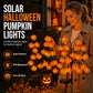 🎃🦇 43% OFF!👻Waterproof Halloween Pumpkin Solar Branch Lights