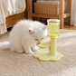 📢📢50% OFF !! 🐱  Adjustable Neck-Care Cat Water Fountain – 3-Level Height Adjustable, Anti-Slip & Auto Refill Flow ✨