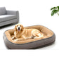 📢📢50% OFF !! ⏰ All‑Season Ergonomic Comfort Pet Bed – Snug, Breathable, Cozy ✨