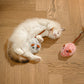 ⏳Time-Limited Special⏰Smart Electric Mouse Cat Toy｜Automatic Moving Interactive Toy For Indoor Cats 🐱