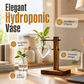 📢📢50% OFF !! ⏰Minimalist Glass Vase for Desktop